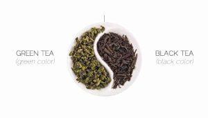 hồng trà và lục trà khác nhau như thế nào