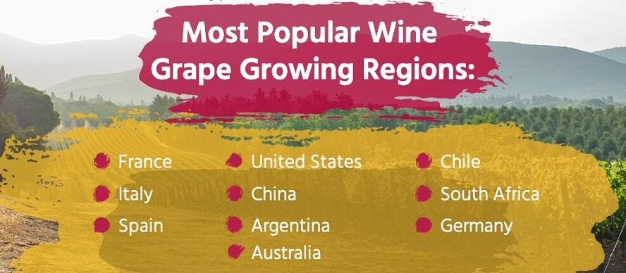 Tìm hiểu về hệ thống phân loại rượu vang trên thế giới