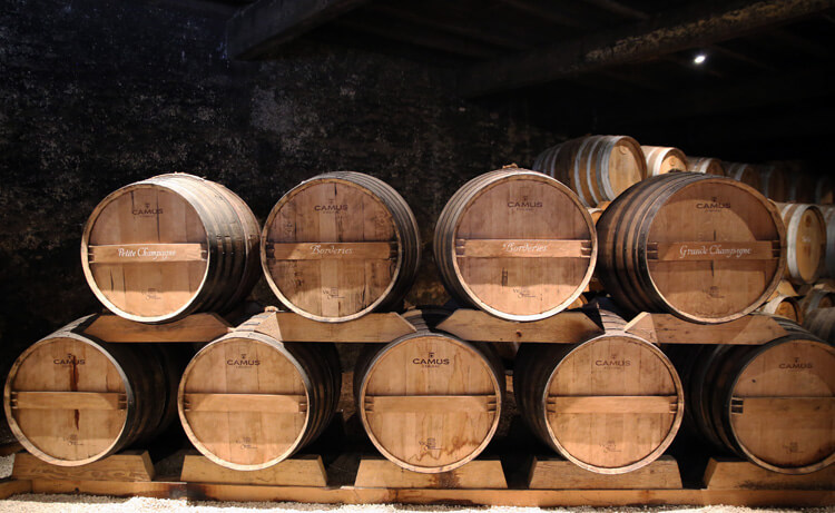 Vùng Đất Cognac: Khám phá Hành trình Đầy Lịch sử và Du lịch