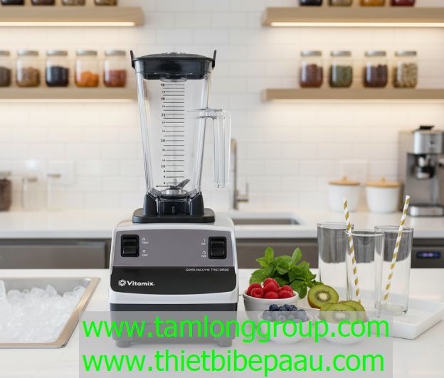Máy xay sinh tố Vitamix Drink Machine Two-speed
