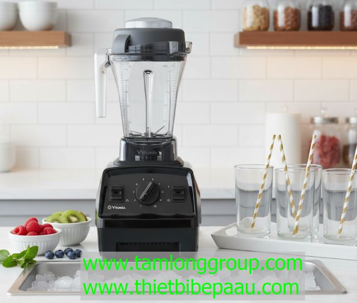 Máy xay sinh tố Vitamix E310