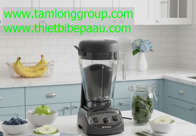 Máy xay sinh tố Vitamix XL