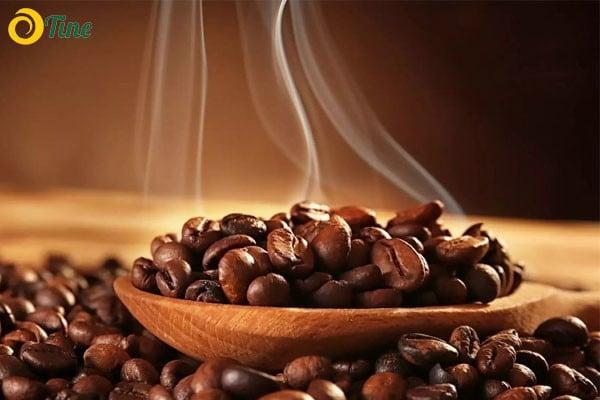 Cà phê robusta và arabica loại nào ngon hơn - Top 5 khác biệt cần biết