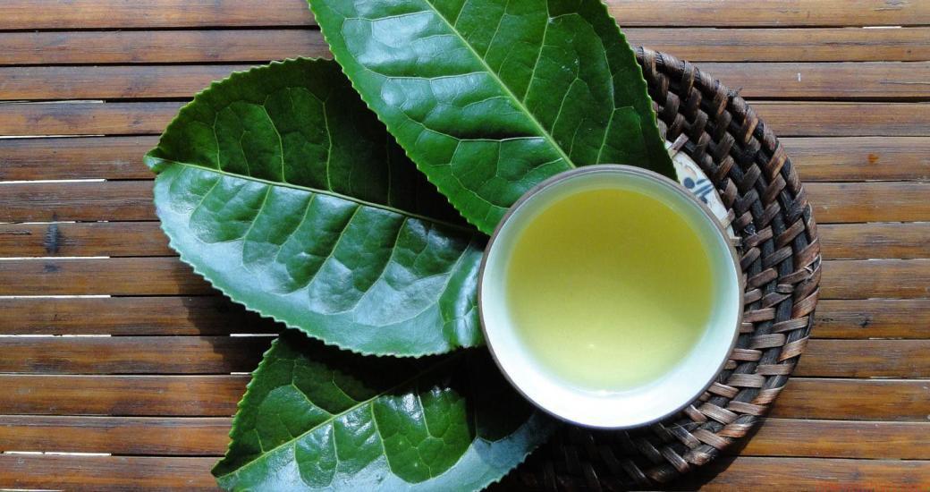 Những bước đơn giản để nấu lá trà tươi thơm ngon không bị mất chất