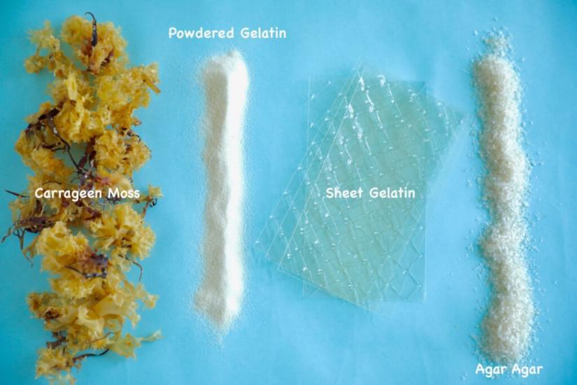 Gelatin 1024x682 2