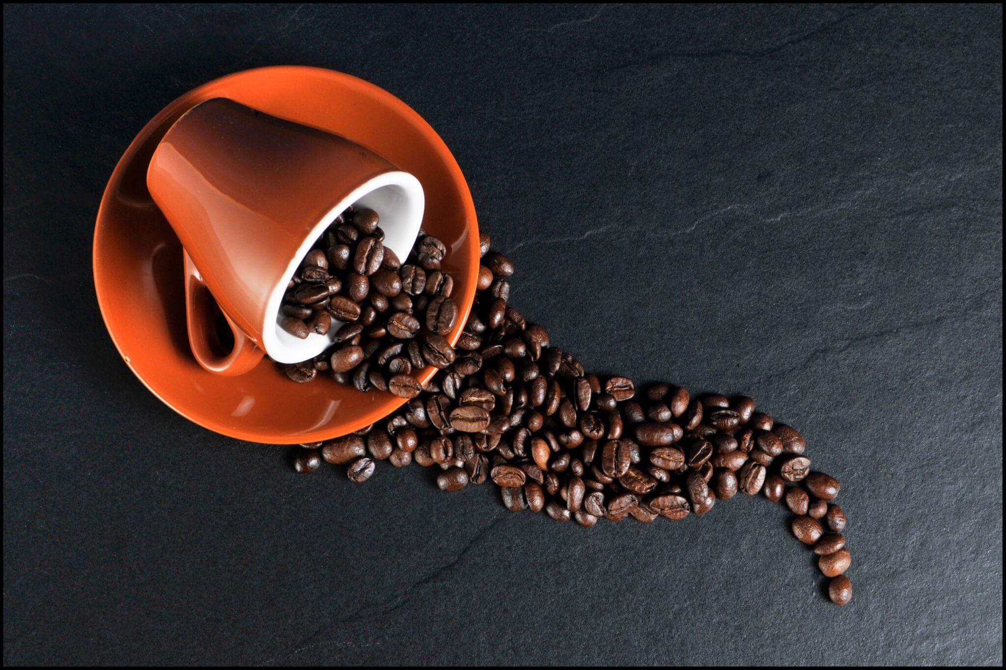 Hạt cà phê có công dụng gì mà bạn chưa hề hay biết?