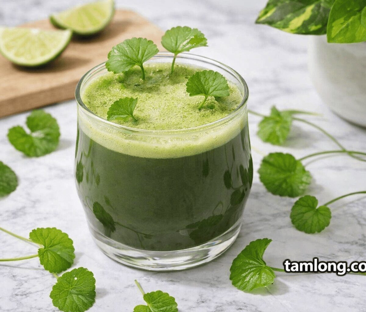 Khóa học làm nước rau má