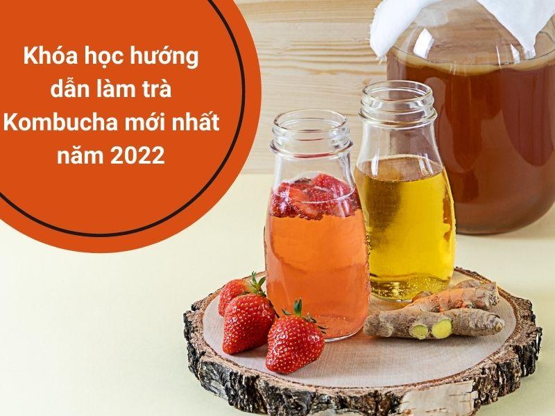 Khóa học làm trà Kombucha 2022, hướng dẫn chi tiết