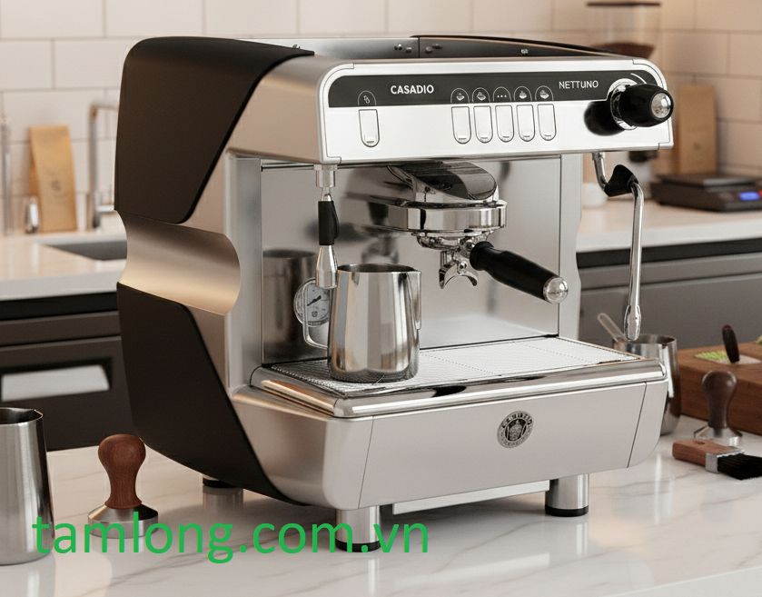 Máy pha cà phê Casadio Nettuno 1 Group