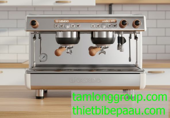 Máy pha cà phê Casadio Undici WD A2 Group