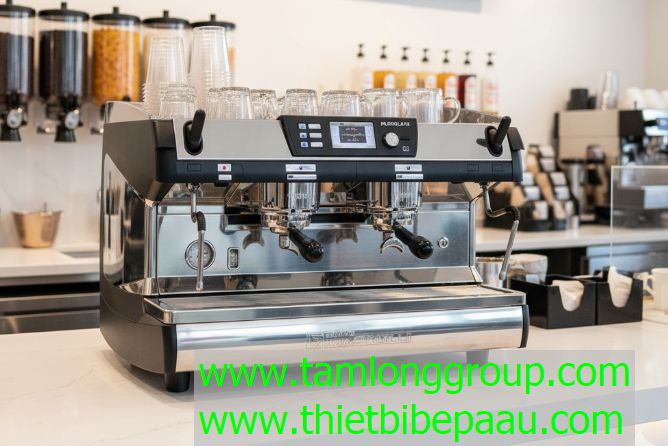 Máy pha cà phê Nuova Simonelli Aurelia II T3 2 Group