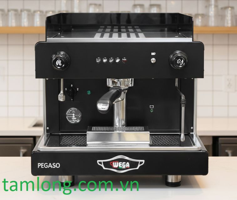 Máy pha cà phê Wega Pegaso 1 Group