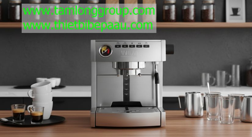 Máy pha cà phê Welhome Pro KD 135B