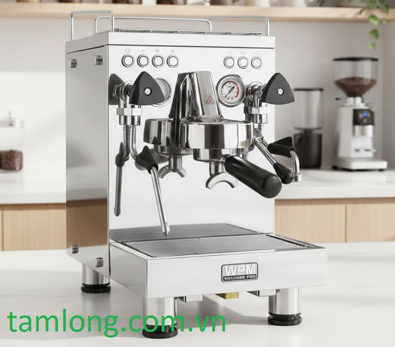 Máy pha cà phê Welhome PRO KD 310