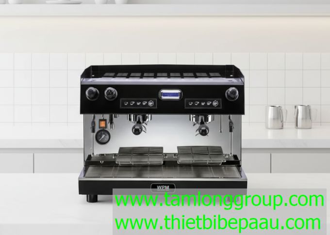 Máy pha cà phê Welhome Pro KD 500N