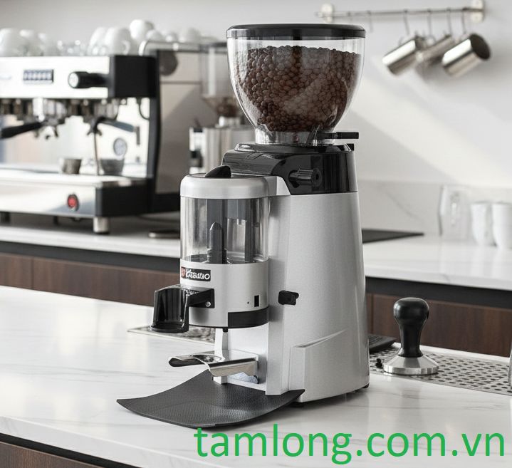 Máy xay cà phê Casadio Enea 64 Auto