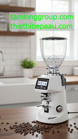 Máy xay cà phê Fiorenzato F64 EVO PRO