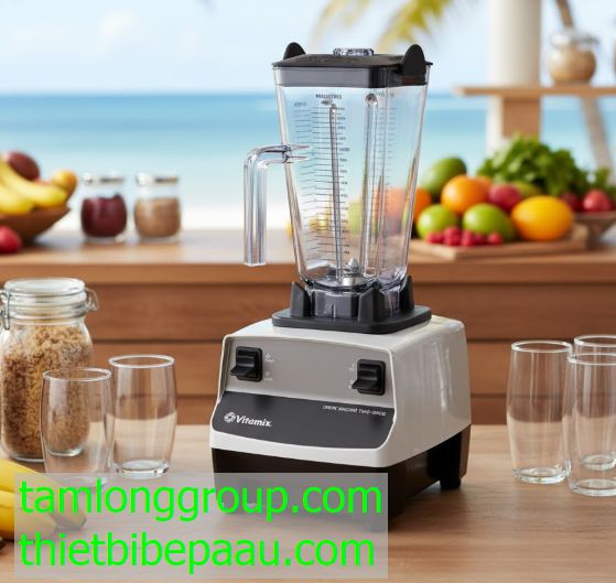 Máy xay sinh tố Vitamix Drink Machine Two-speed