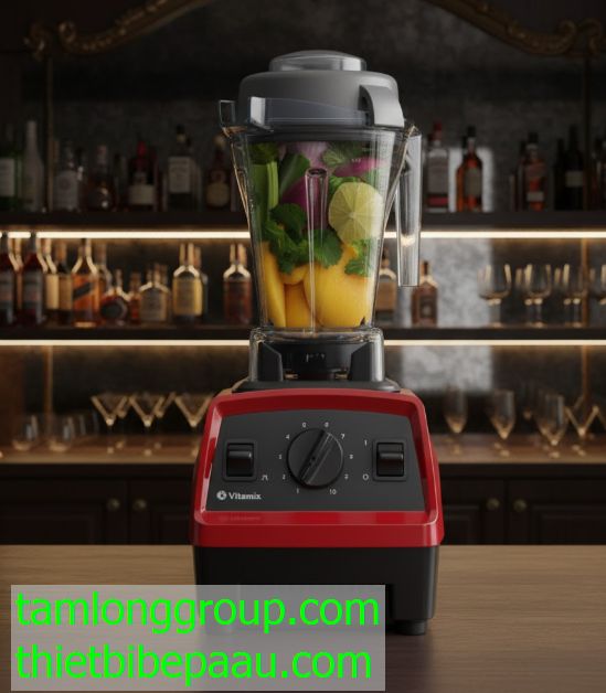 Máy xay sinh tố Vitamix E310