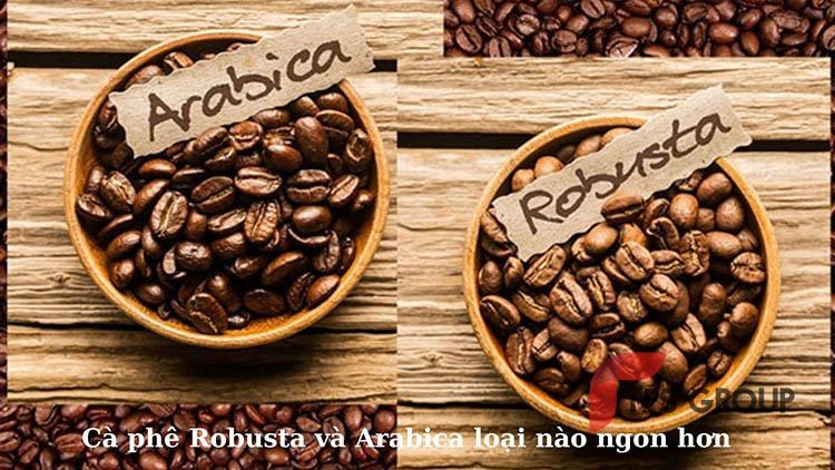 hạt cà phê arabica và hạt cà phê robusta
