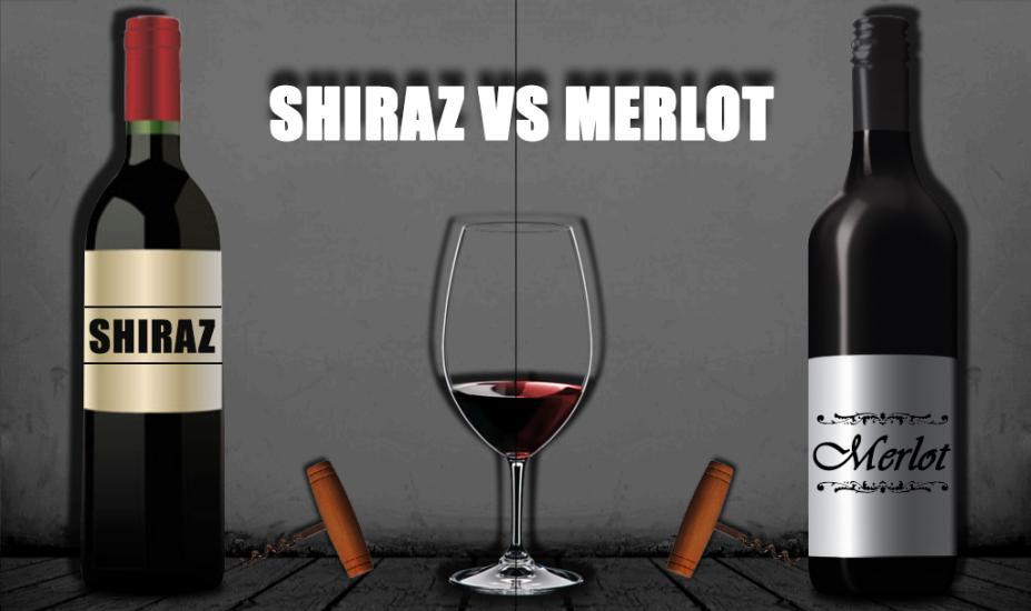 So Sánh Merlot và Shiraz - Những Điểm Đặc Trưng và Đối Lập