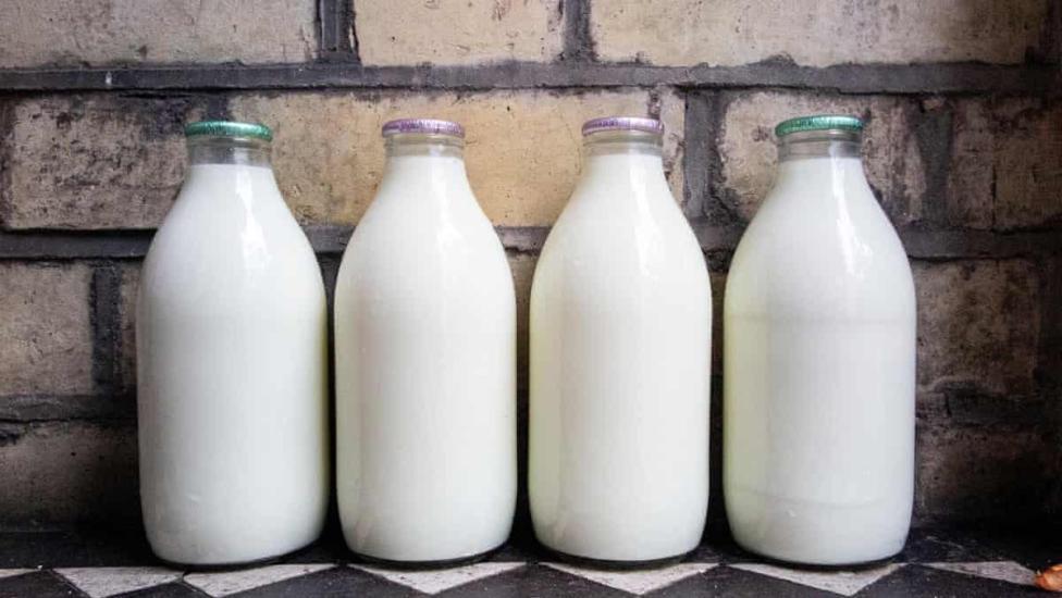 Skim milk la gi 1