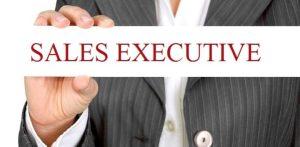 Tổng hợp thông tin bổ ích về sales executive là gì