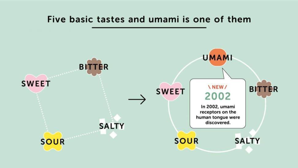 Umami là gì? Bí mật của hương vị quyến rũ trong món ăn