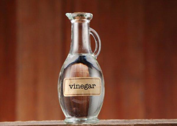 Vinegar la gi 1